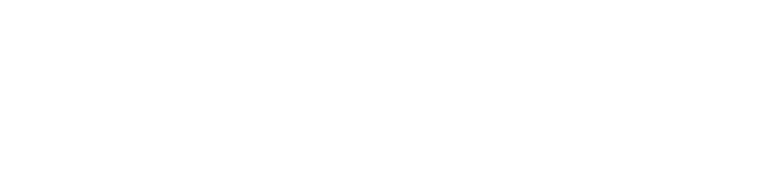 default-logo-white